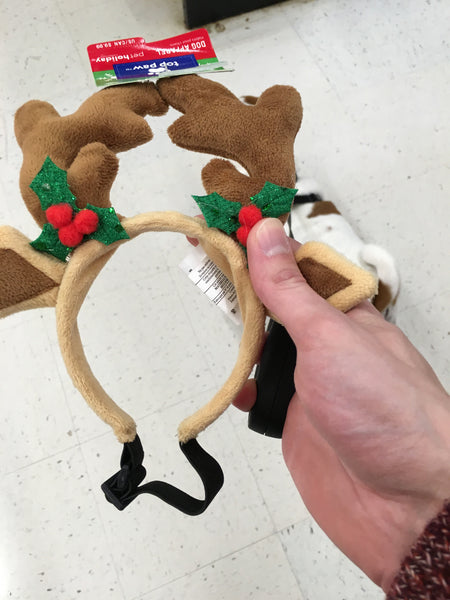 Dog Reindeer Antlers